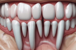 Enamel Overview and Properties