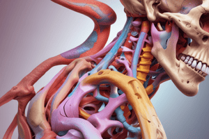 Musculoskeletal Tumor Classification Quiz