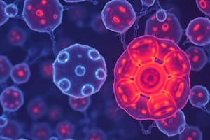 Biology Module Quiz: Eukaryotic vs Prokaryotic Cells