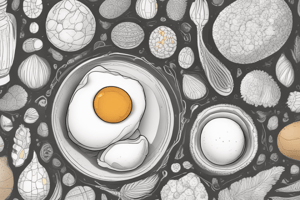 Egg Nutrition and Composition