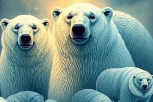 Polar Bears: Life in the Arctic