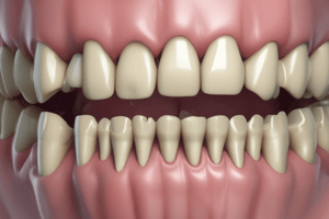 Dental Anatomy Lecture 6: Permanent Mandibular Incisors