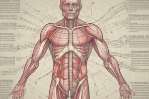 The Endocrine System and Pituitary Gland