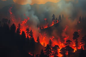 Incendios Forestales - Preguntas de Prueba