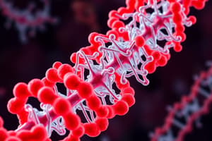 Ribosome Structure and Function