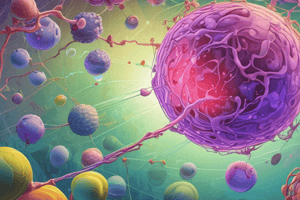 PANC-1 Cell Line: Total Protein Extraction