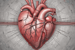 Cardiac Arrhythmia Anatomy