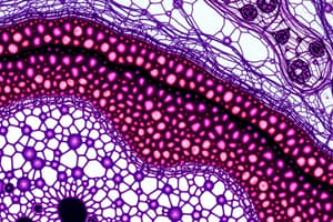 Histology I - Introduction and Tissue Preparation