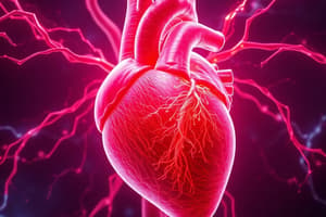 Cardiac Muscle Properties Quiz