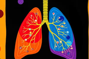 Microscopic Structure of the Lung II - Block 1.3