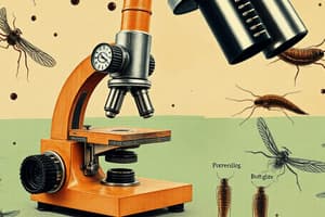 Microscope: Parts, Magnification, and Usage