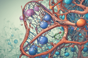 COPY: The Central Dogma: DNA to RNA to Protein