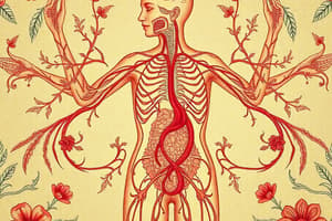 Biologi Kelas 10: Sistem Limfatik dan Darah