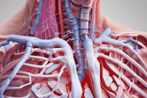 Rib Fracture Assessment and Management