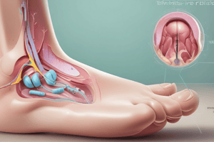 Abscess Diagnosis and Treatment in Podiatry