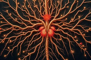 Nervous System