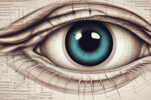 Ophthalmology: Aqueous Humor Formation and Intraocular Pressure