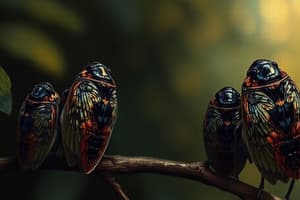 Cicada Broods XIX & XIII: A Dual Emergence