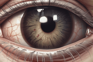 Blood Supply to Eye and Adnexa