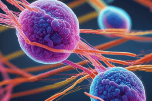 2- Chromosome structure and morphology