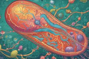 Biology Lecture 10: Electron Transport and ATP Synthesis