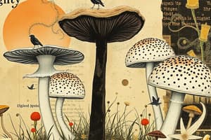 Introduction to Mycology: Fungi Characteristics