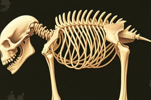 Bone Structure and Function Quiz