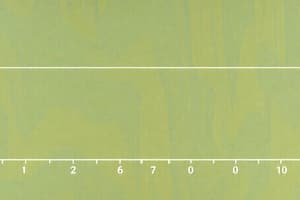 Physics Introduction to Units and Measurements