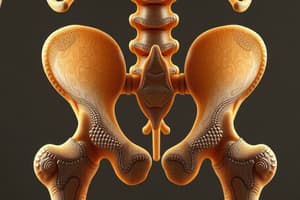 Cartilaginous and Synovial Joints