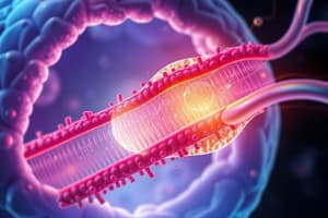 Fonctions des Membranes Cellulaires