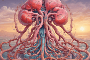 Urinary System and Kidney Functions