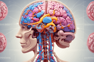 Cranial Nerves Overview