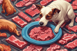 Short Story: The Two Dogs and the Piece of Meat