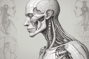 Anatomy of the Neck: Anterior Triangle Part 1