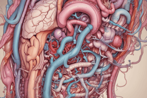 Patología Digestiva 4º Medicina: Tumores de Intestino Delgado