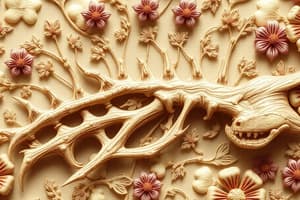 Osteology Overview Quiz