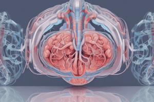 Diagnostic Techniques in Medical Imaging