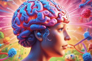 Actividad física y el cerebro