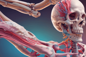 Pyogenic Osteomyelitis Overview