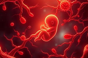 Hematopoiesis in Fetal Development