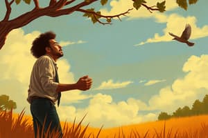 To Kill a Mockingbird: Tom Robinson's Testimony