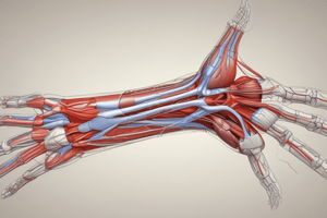 Ninja Nerd - Circulatory System | Arteries of the Upper Limb | Flow Chart