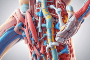 Joint Structure and Function in Physiotherapy