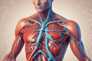 Biology Quiz: Heart Valves and Blood Circulation