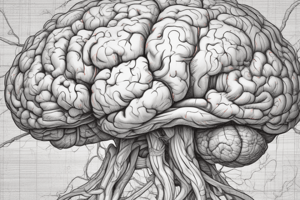 The Telencephalon: Cerebral Cortex and Basal Ganglia