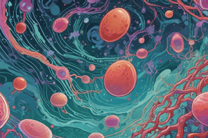 Cell Growth Stages