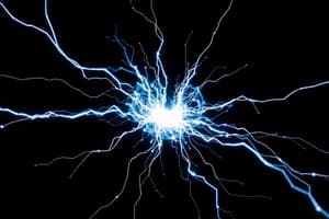 Electrostatics and Magnetism Quiz