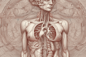 Lecture 3.2 - Fetal circulation