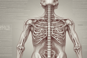 Musculoskeletal Disorder Pharmacology Quiz