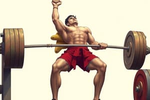 Understanding Weightlifting